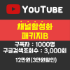 유튜브 채널 최적화 패키지B